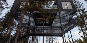 Architects Adds Treetop Cabin With Stargazing Net To Sweden's Treehotel