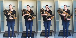 Couple Documents How Fast Their Dog Grows In Just 8 Months
