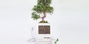 Old Apple Products Turned Iinto Plants