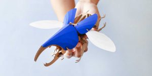 Beautiful Paper Beetle Sculptures To Assemble By Yourself