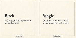 Finally There's A Dictionary That Actually Tells The Truth