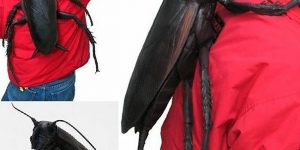 Creepy But Amazing Kafka-Inspired Cockroach Backpack