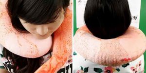 Shrimp Neck Pillow Grabs The Attention Of Squid Girl And The Rest Of The Net