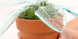 Artist Makes Evergreen Plants That Glow In The Dark