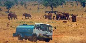 This Man Drives Several Hours Everyday To Bring Water To Thirsty Wild Animals