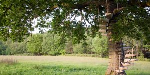 This Modular Spiral Staircase Wraps Trees For Climbing