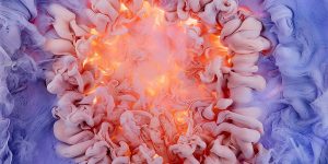 Aqueous Roses And Liquid Blooms Photographed By Mark Mawson