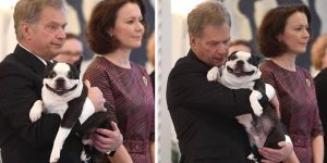 Lennu Is Finland's Most Adorable Dog