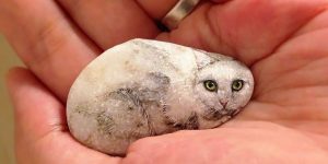 Artist Tries To Paint The Life Inside The Stone