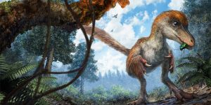 The First Dinosaur Tail Discovered Is Preserved In Amber, 99 Million Years Old And Covered In Feathers
