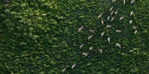 Breathtaking Aerial Photography Of South Africa From Above By Zack Seckler