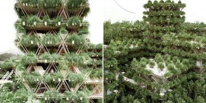 Chinese Company Builds A Bamboo Treehouse Without Nails Or Screws
