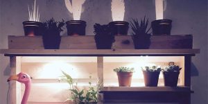 Origami Aluminum Lamps Project Feathers And Antlers When Illuminated
