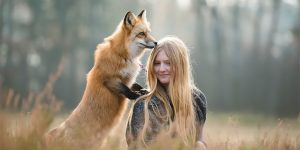 Curious Fox Strikes Up Unlikely Friendship With Polish Photographer