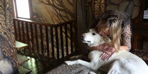 Artist Spends 35 Years Decorating Her House With Rocks And A Glue Gun