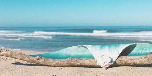 Artist Sculpts Waves On Driftwood