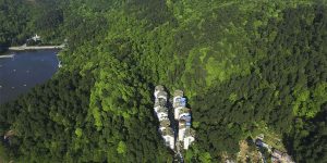This Residential Complex Is Fully Submerged In Natural Sea Of Green
