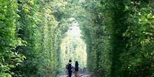A Walk In Nanjing’s ‘Love Tunnel’