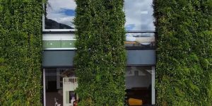 World’s Largest Vertical Garden Blooms With 85,000 Plants In The Heart Of Bogota