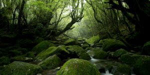2017 National Geographic Travel Photographer Of The Year – Nature
