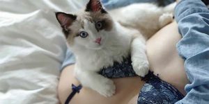 Japanese Photographer Releases Book Of Breasts And Cats