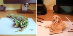 These Amazing Drawings Appear To Jump Out Of The Page