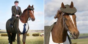 This Horse Gets Tailored Three-Piece Suit, Looks Absolutely Dashing
