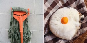 Hilariously Misleading Things That Will Make You Look Twice