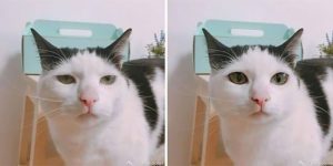 Photoshop Master Showed Why We Should Not Believe Photos In Social Networks