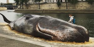 The Hyperreal Whale Beached The Banks Of The Seine River To Raise Environmental Awareness