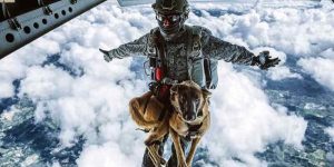 Colombian Daredevil Dog Skydives For Military Training