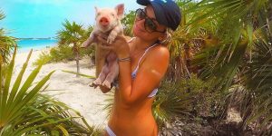“Life Is Too Short To Be Unhappy”: Dublin Student Beat Depression By Befriending Sharks, Stingrays And Pigs In The Bahamas