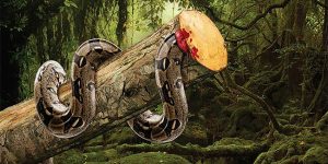 Sanctuary Asia: A Shocking Campaign Against The Misdeeds Of Deforestation