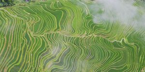 Scenic Aerial View Of Terraced Fields In Guizhou, A Mountainous Province In Southwest China