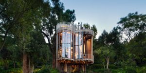 This Curvaceous Wooden House Sits Among The Trees