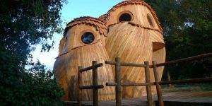 You Can Sleep In These Owl Cabins In France For Free, And Their Interior Is As Good As Exterior