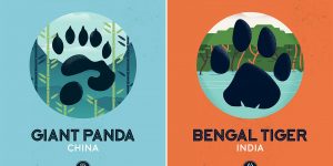 The Wild Side Series: The World’s National Animals And Their Tracks