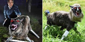 The Super Monster Wolf Is Here To Scare Animals Away From Farmers' Crops