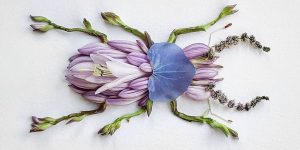 Natura Insects: The Delicate Floral Compositions Of Raku Inoue