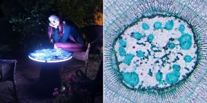 This 3D Printed Coffee Table Shows Art As Seen Under The Microscope
