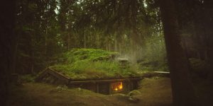 You May Chill In This Sunken 200 Year-Old Swedish Cabin Hidden Deep In A Forest