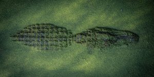 2017 National Geographic Nature Photographer Of The Year Publishes First Round Of Beautiful Entries