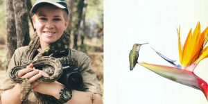 Steve Irwin’s Son Is An Award Winning Photographer And These Photos Show Why