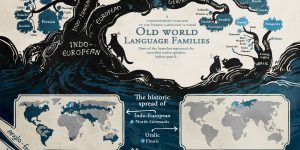 The Tree Of Languages Illustrated In A Big, Beautiful Infographic