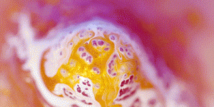 Over Your Skin: Fascinating Art Project Sees Paint Flow Through Ridges In Human Skin, Creating River-Like Masterpieces