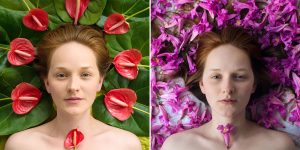 A Poetic Photo Series On Flowers And Love – A Reason For Joy Every Day A Colorful Flower Outgrown The Sun