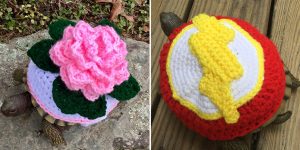 Winter 2017 / 2018 Tortoise Fashion