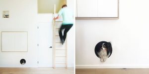 A Built-In Dog Bed Was Created In This Living Room Wall
