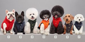 Moncler Releases A Line Of Luxury Puffer Jackets For Dogs