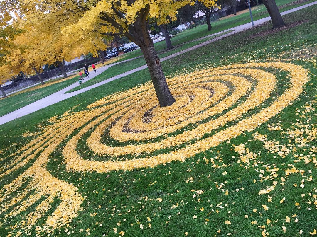 Land Art Com Folhas - BRAINCP